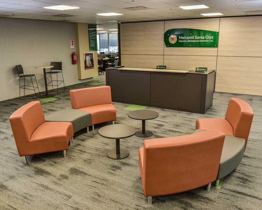 COMPAÑIA-DE-SEGUROS-MSC-Luma-01